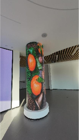 梅州雁洋某展館LED圓柱屏